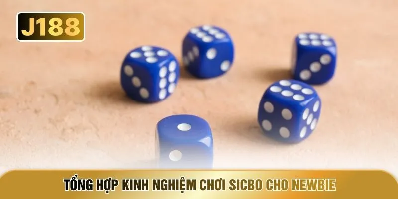 Tổng hợp kinh nghiệm chơi Sicbo cho newbie